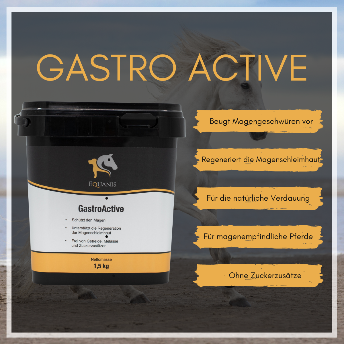 Set Equanis | Gastro Active | 2x 1,5 kg Pellets | Beugt Magengeschwüren vor + Tuch