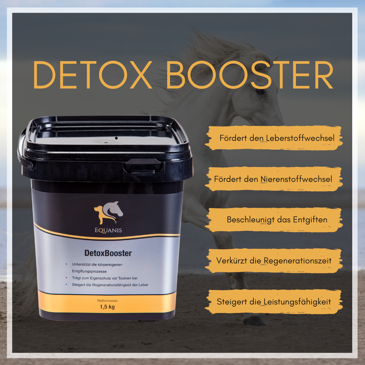 Set Equanis | Detox Booster | 2x 1,5 kg Pellets | Ergänzung - natürliche Entgiftungskur + Tuch