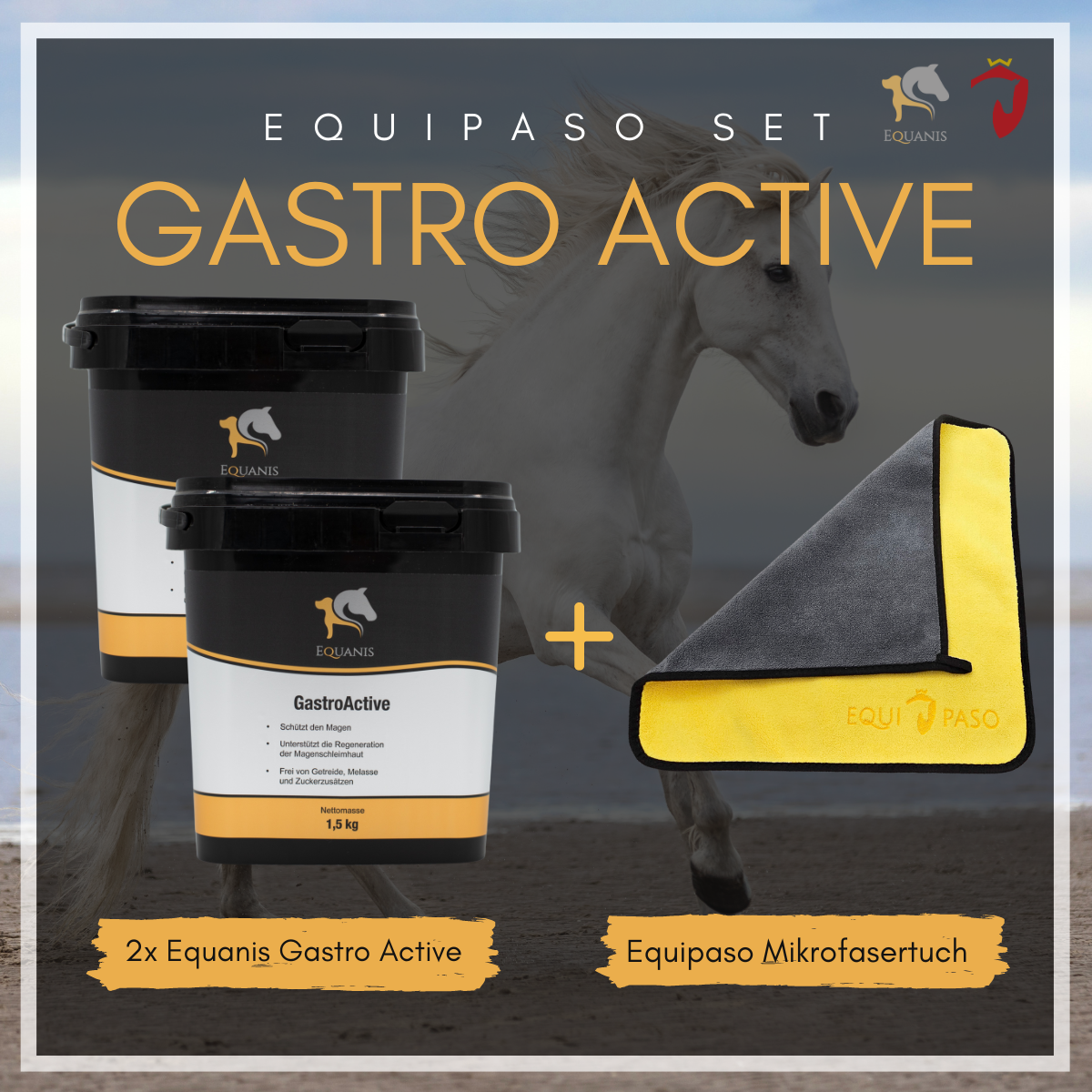 Set Equanis | Gastro Active | 2x 1,5 kg Pellets | Beugt Magengeschwüren vor + Tuch