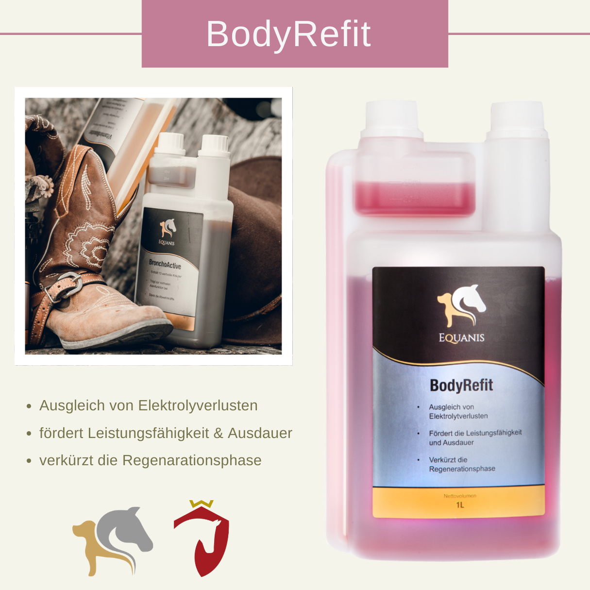 Set Equanis | Body Refit | 1 Liter flüssig | verkürzt Regenerationszeit/Elektrolyte + Tuch