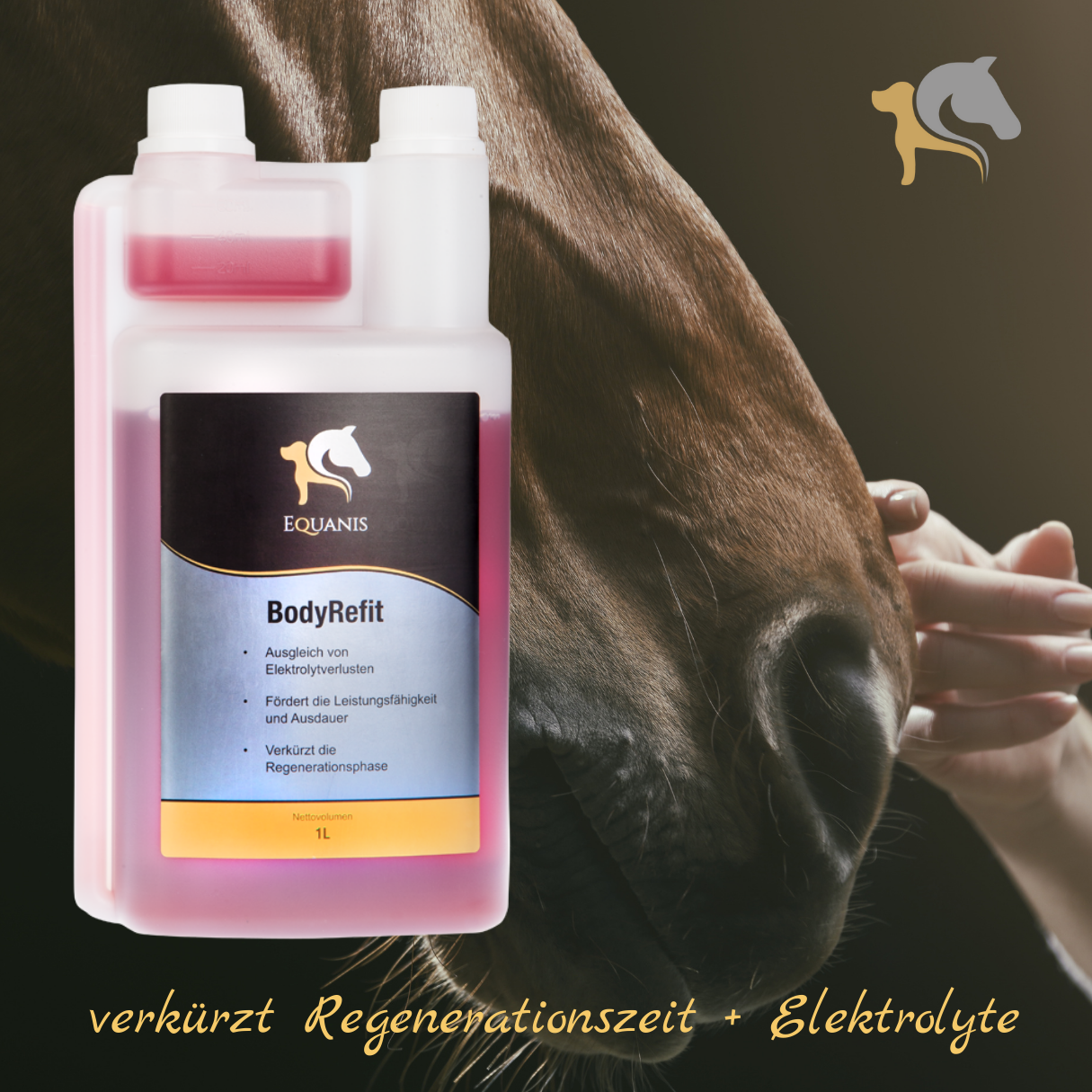 Set Equanis | Body Refit | 1 Liter flüssig | verkürzt Regenerationszeit/Elektrolyte + Tuch