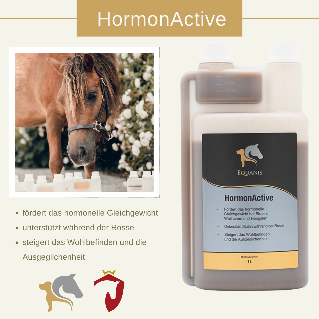 Set Equanis | Hormon Active | 1 Liter flüssig | Reguliert den Hormonhaushalt + Tuch