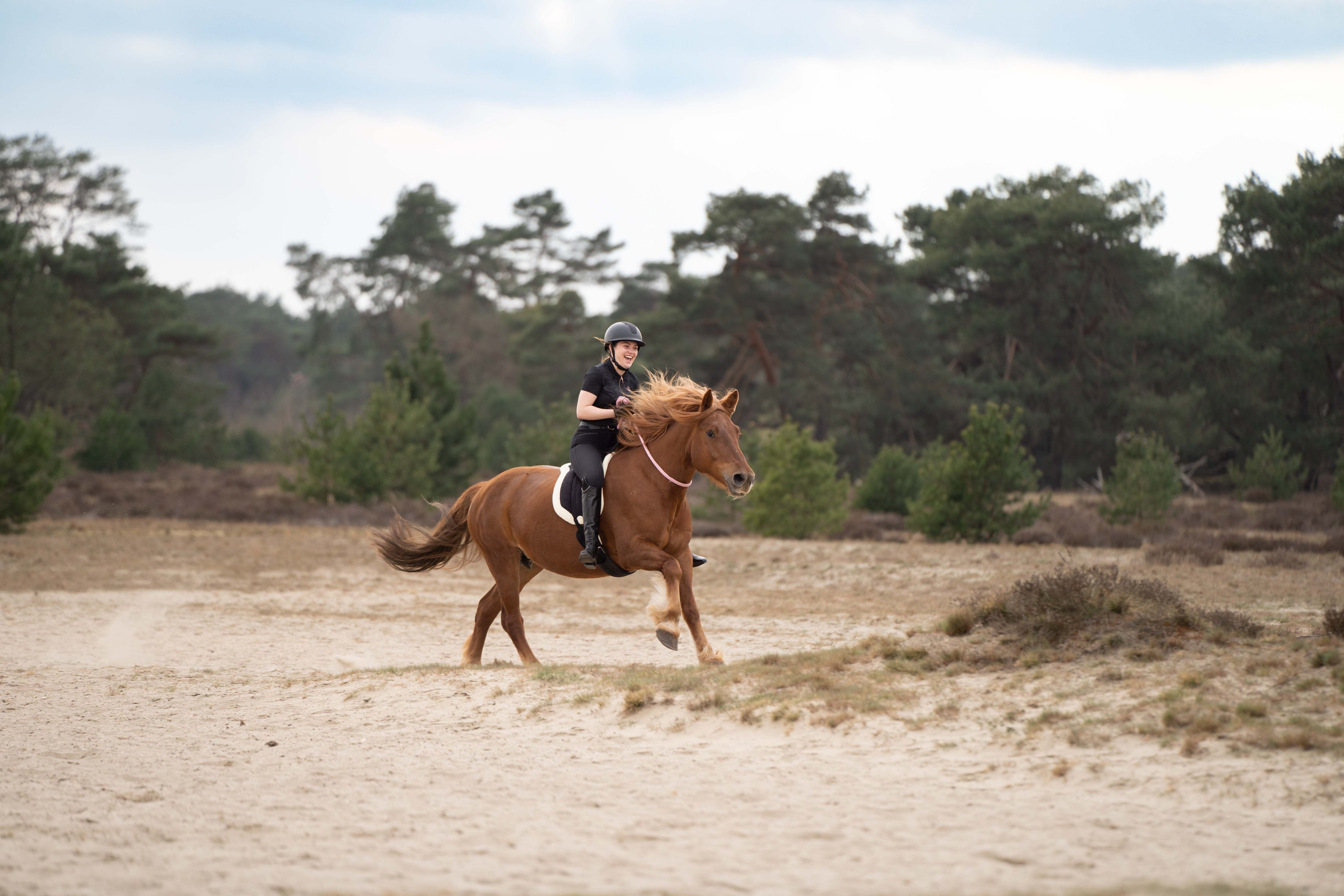 Imperial Riding | Halsring Free Ride - zum Reiten ohne Zaumzeug | Schwarz